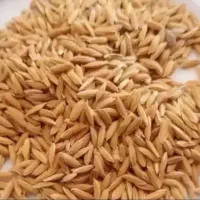 چلتوک درجه یک لنجان مبارکه