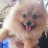 درود بر شما خوبان+ جهت تماس