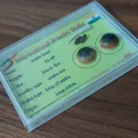 راهنمایی علوم غریبه دعا حرز و...|فعالیت داوطلبانه|اصفهان, نقش جهان|دیوار