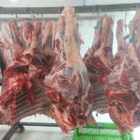 گوشت و مرغ|خوردنی و آشامیدنی|تهران, شهرک فرهنگیان|دیوار