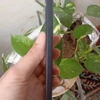 Poco X6 PRO 5g|موبایل|آشخانه, |دیوار