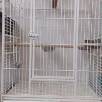 قفس بزرگ کاسکویی|لوازم جانبی حیوانات|مشهد, حسابی جنوبی (شهرک غرب)|دیوار