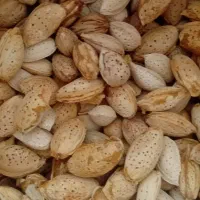 بادام کاغذی