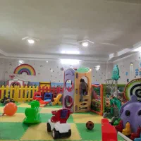 نیروی میزبان (خدمات)