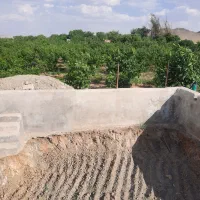 زمین با مجوز گلخانه|فروش دفتر صنعتی، کشاورزی، تجاری|تیران, |دیوار