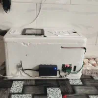 دستگاه جوجه کشی دستساز|لوازم جانبی حیوانات|بن, |دیوار