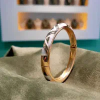 گوشواره میناکاری|بدلیجات|قم, صفائیه|دیوار