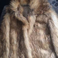 پالتو خز پوست روباهی