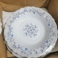 سرویس بشقاب|ظروف سرو و پذیرایی|بم, |دیوار