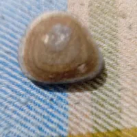 سنگ قیمتی الماس