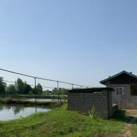 زمین-و-استخر-پرورش-ماهی-فعال