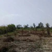 فروش-دوهزار-متر-زمین-کشاورزی