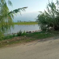 فروش ویا معاوضه بااپارتمان یاویلاحومه بابلسر|فروش دفتر صنعتی، کشاورزی، تجاری|هادی شهر, |دیوار