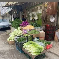 سبزی قرمه سبزی ولوبیا اماده فقط ۱۵۰ هزار کیلوی