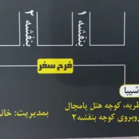 راننده خانم برای آژانس بانوان درمنظریه