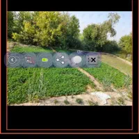 اجاره ۸ هکتار زمین کشاورزی با آب چاه فول|اجارهٔ دفتر صنعتی، کشاورزی، تجاری|برازجان, |دیوار