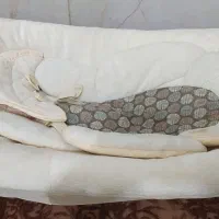 گهواره  خارجی نقلی