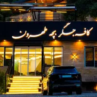 شاطر و سالنکار