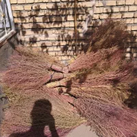 جارو|لوازم نظافت|خوی, |دیوار