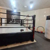 ثبت نام دور جدید کلاسهای بوکس آقایان و بانوان