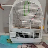 قفس|لوازم جانبی حیوانات|قم, شهدا|دیوار