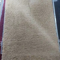 قالیچه ریش ریش دار|فرش|ساری, |دیوار