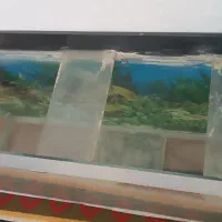 آکواریوم و پایه فرفژه|ماهی|خرم‌آباد, |دیوار