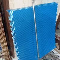 هالتر خونگی و تاتمی