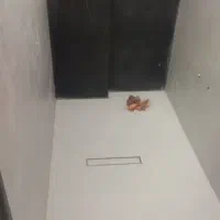 کاشیکاری کار کاشی کاشیکار|خدمات پیشه و مهارت|کرج, گلشهر|دیوار