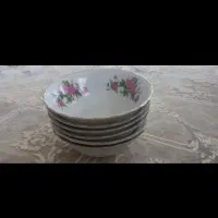 ماست خوری گل قرمز