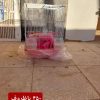 قفس پرنده|لوازم جانبی حیوانات|سبزوار, علمدار|دیوار