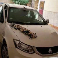 ساینا دوگانه کارخانه. کاشمر