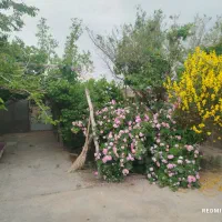 باغ منزل