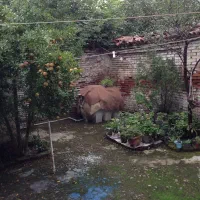 ملک کلنگی۱۵۰‌متری.خمیران زاهدان-پل‌عراق-ساغریسازان|فروش زمین و ملک کلنگی|رشت, ساغری سازان|دیوار