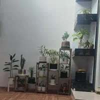 پشته‌ حسین آباد خیابان اصلی طیب