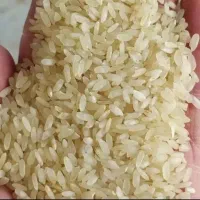 کامفیروزی اصل