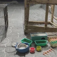 قفس پرنده
