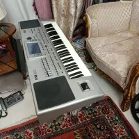 ارگ گرگ pa80 سالم وسلامت