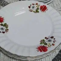 بشقاب برنج خوری گلشاد