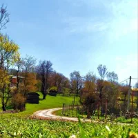 فروش زمین با کاربری مسکونی ارتفاعات رودبار