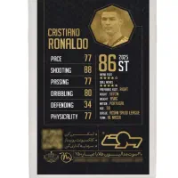 سکه پارسیان|جواهرات|رشت, حمیدیان|دیوار