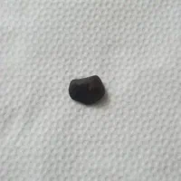 شهاب سنگ کاملا نایاب|کلکسیون اشیاء عتیقه|ساری, |دیوار