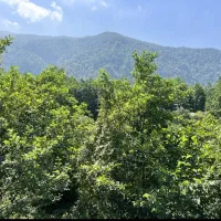 فرصت-محدود-زمین-330-متری-شهرکی-مرفه-نشین