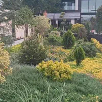 طراحی اجرا و نگهداری فضای سبز باغچه، باغ و ویلا