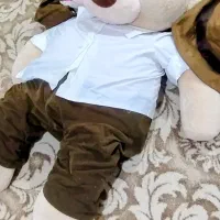 خرس|کالسکه و لوازم جانبی|اهواز, شهرک الهیه|دیوار
