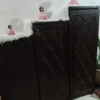 جاکفشی سالم