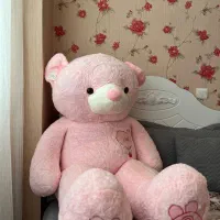 شاسخین صورتی|اسباببازی بچه|مرند, |دیوار