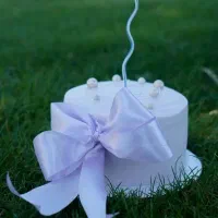 کیک با کیفیت خونگی|خدمات پذیرایی، مراسم|قزوین, |دیوار