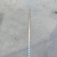 پابه رگال دیواری شاخه ای