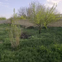 ساختمان مسکونی زواجر پایین